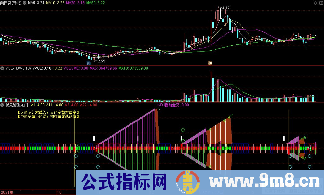 通达信状元鲤鱼龙门副图指标 源码 贴图