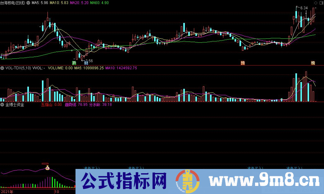 通达信金博士资金副图指标 九毛八公式指标网