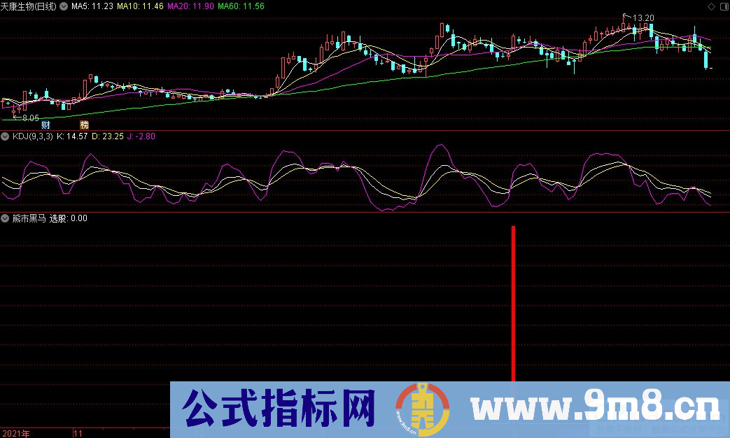 通达信熊市黑马副图指标 熊市抓黑马 源码 贴图