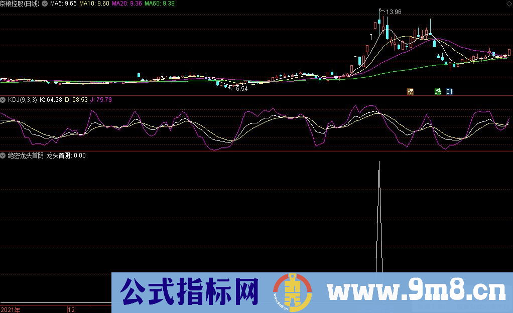 通达信绝密龙头首阴副图+绝密龙头首阴选股指标 十年操盘手VIP指标 九毛八公式指标网