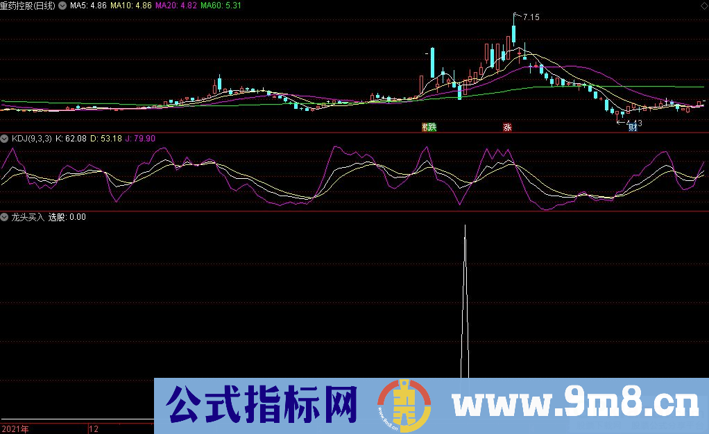 通达信龙头买入副图指标 翻倍牛股摇篮 源码 贴图