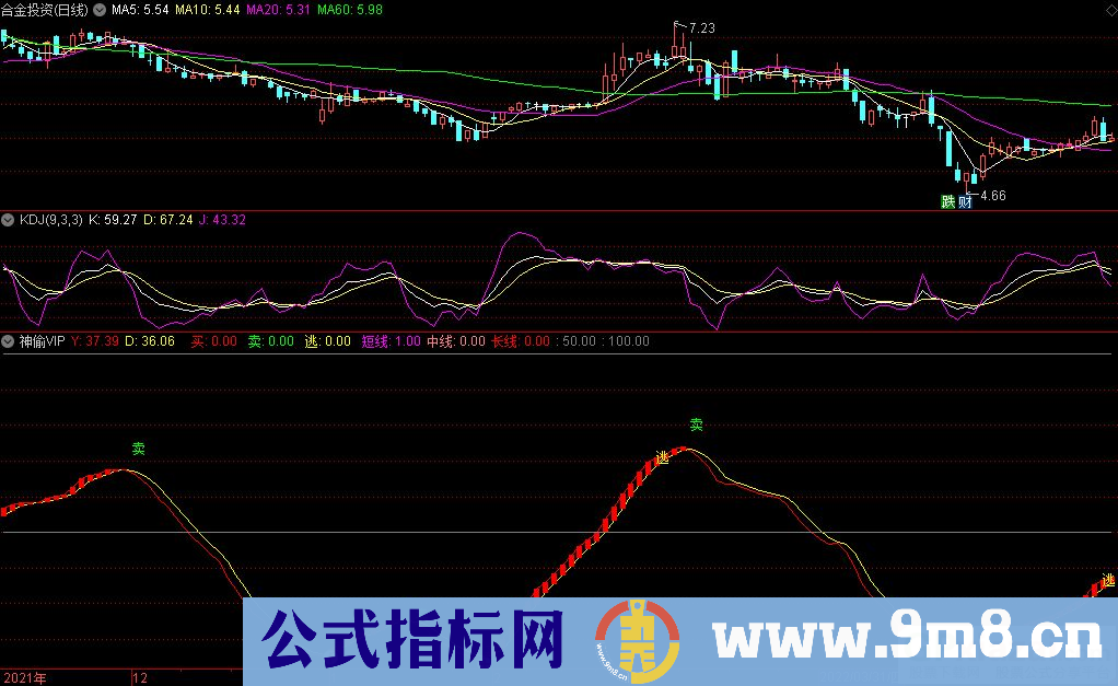 通达信神偷VIP副图指标 长中短线指标 九毛八公式指标网