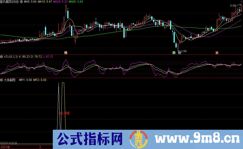 通达信大涨副图指标 源码 贴图 有未来函数