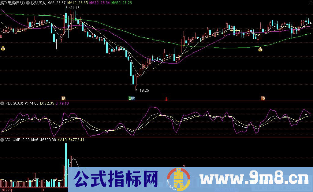 通达信钱袋买入副图指标 源码 贴图 无未来