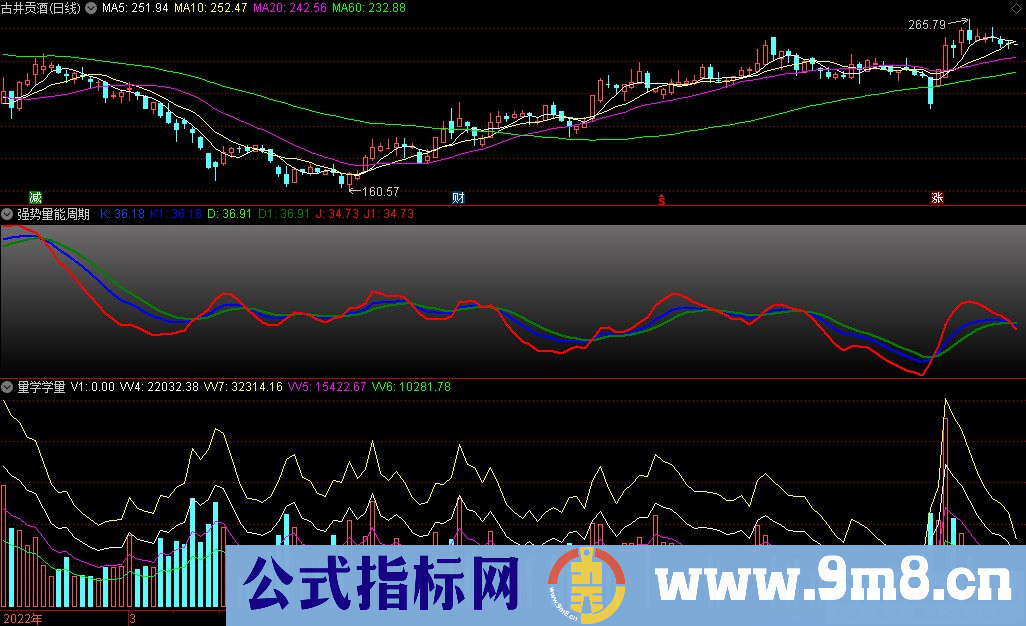 通达信量学学量+强势量能周期副图指标 海边技术指标 源码 贴图