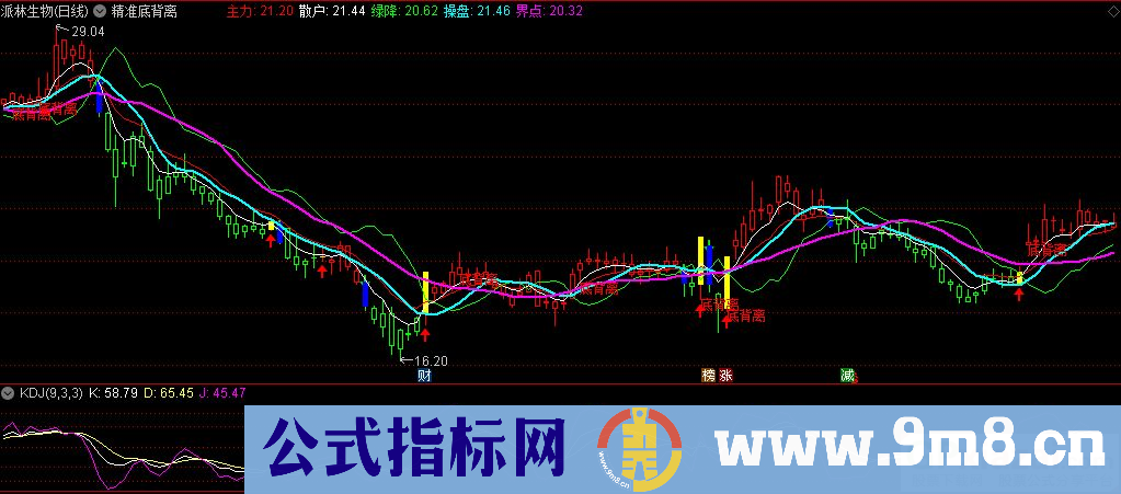 通达信精准底背离主图指标 源码 贴图