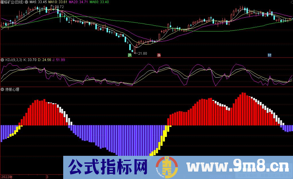 通达信持股心理副图指标 让你持股有目标有毅力 源码 贴图 无未来