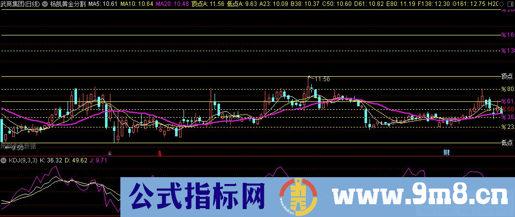 通达信杨凯黄金分割主图指标 分割自动划线 源码 贴图