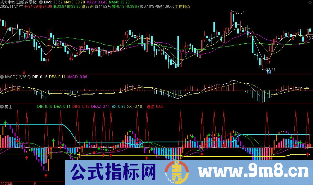 通达信勇士副图指标 源码 贴图