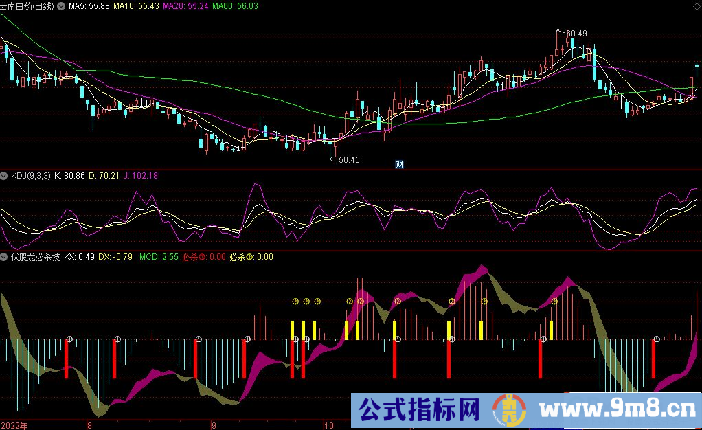 通达信伏股龙必杀技副图指标 源码 贴图