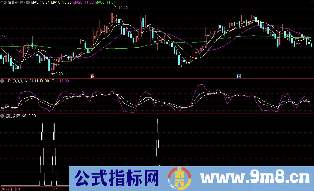 通达信极阴次阳选股指标 源码 贴图