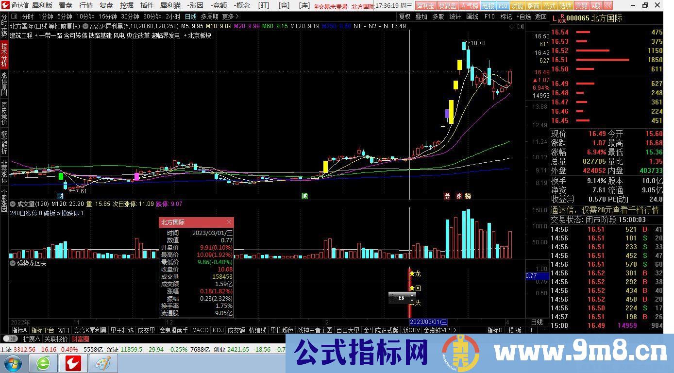 通达信强势龙回头副图/选股 捕捉强势股回调到位 源码 贴图