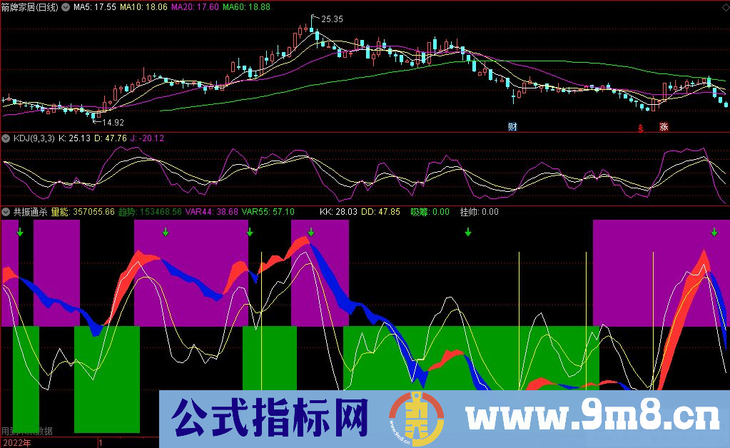 通达信共振通杀副图指标 九毛八公式指标网