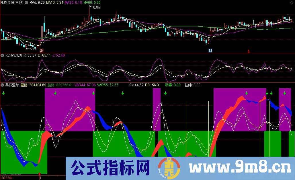 通达信共振通杀副图指标 源码 贴图