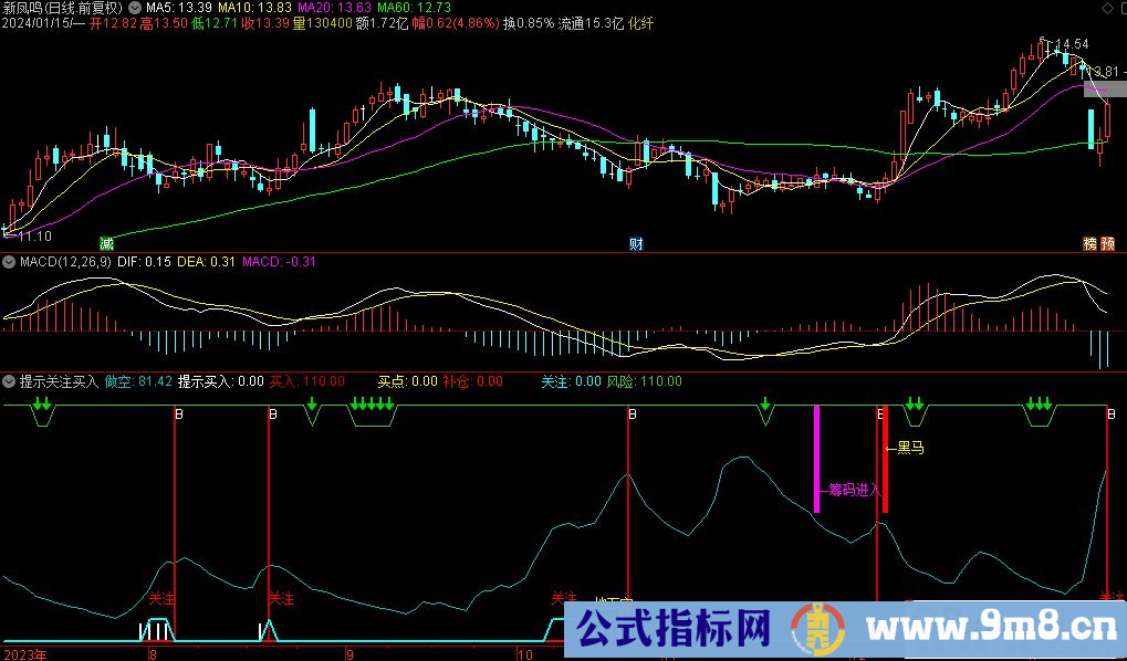 通达信提示关注买入副图指标 源码 贴图