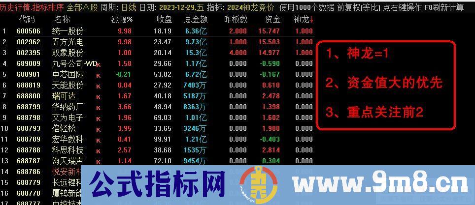 通达信【2024神龙竞价】竞价排序指标，信号全天不变！源码 贴图