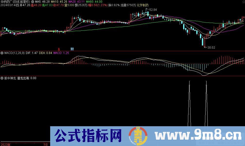 通达信股中神龙选股指标 源码 贴图