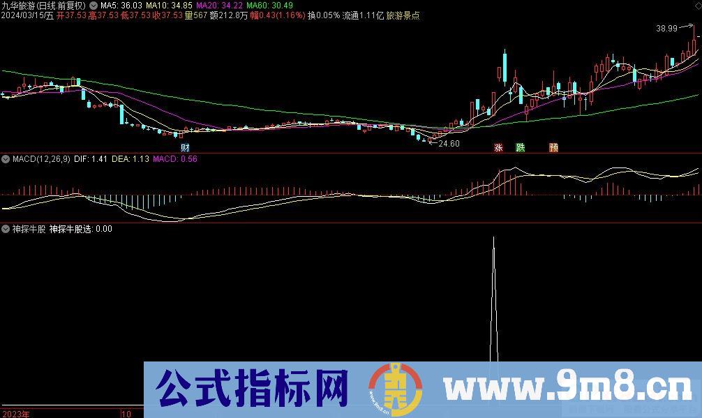 通达信神探牛股选股指标 源码 贴图