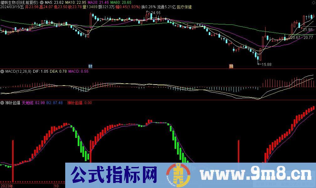 通达信神针起爆副图指标 源码 贴图