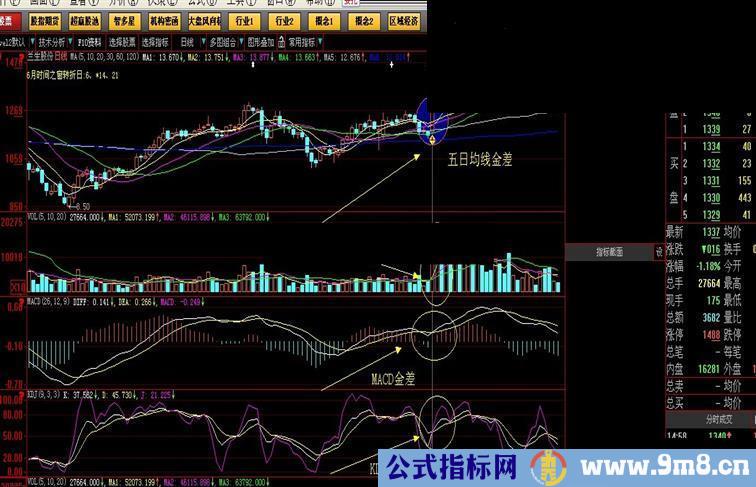 大智慧四金共振公式