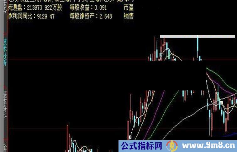 大智慧所属板块、流通盘 市盈率 预付款等在K线图上显示 一目了然