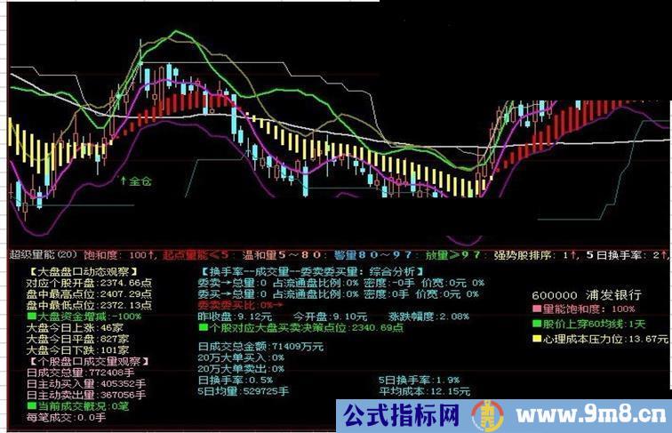 超级量能(饱和度,最高点位,最低点位,买入量,副图,源码)