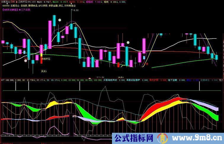 大智慧自从用了这指标俺再没赔过指标公式