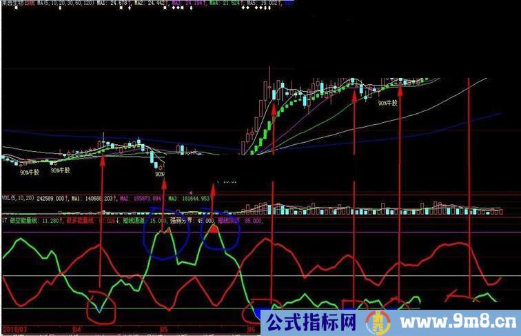 资金判牛股(无未来源码)