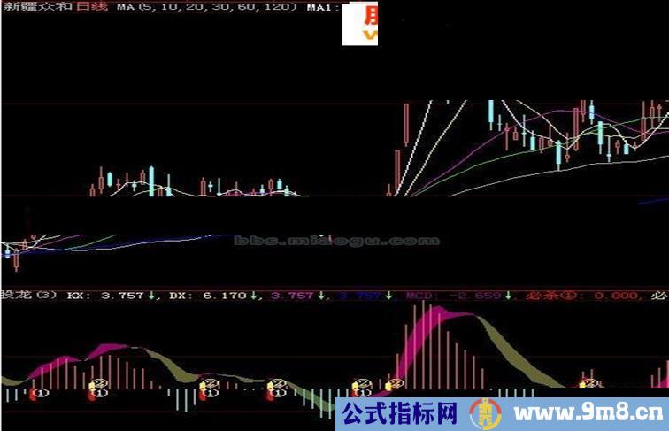 大智慧伏股龙必杀源码副图