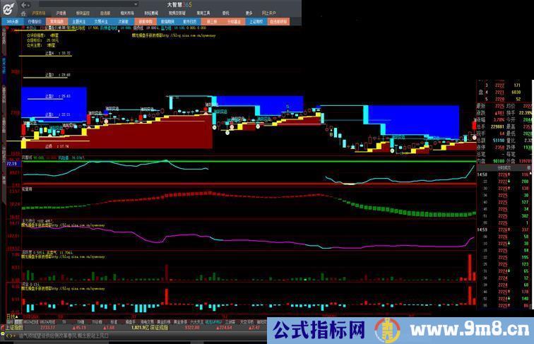 用大智慧“云函数”编写的钱龙主力持仓、活跃度、资金（指标 副图 贴图）