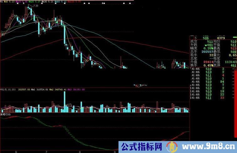 大智慧黄帽行动副图源码