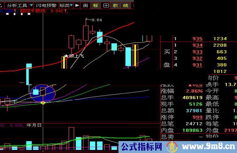 涨停绝技 巨量假阴打桩阳 源码