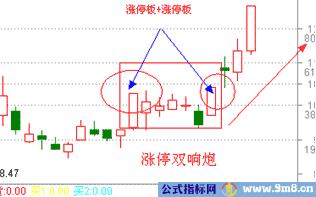 涨停板讲解大全(文章超长)