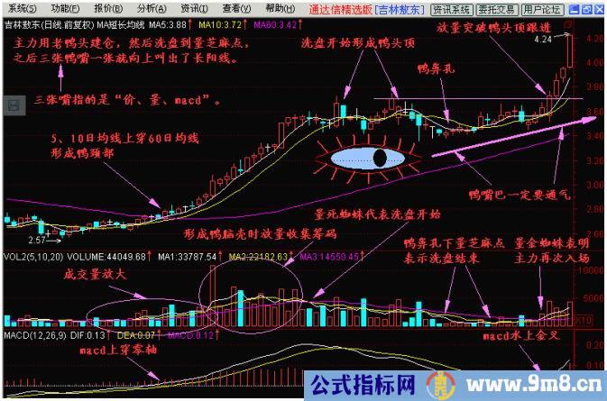 老鸭头图解