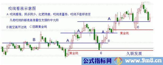 量柱量线图片讲解