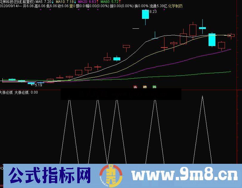 通达信大涨必抓公式副图源码没加密没未来函数