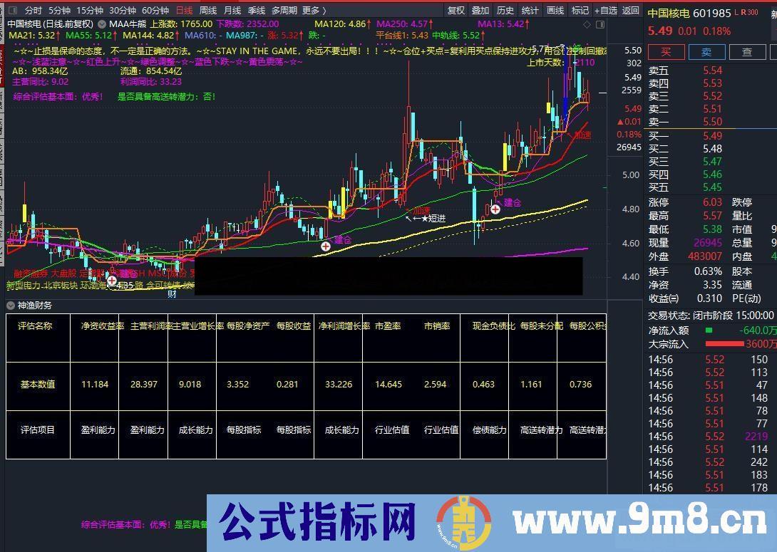 通达信方便直观的财务副图指标公式源码加密