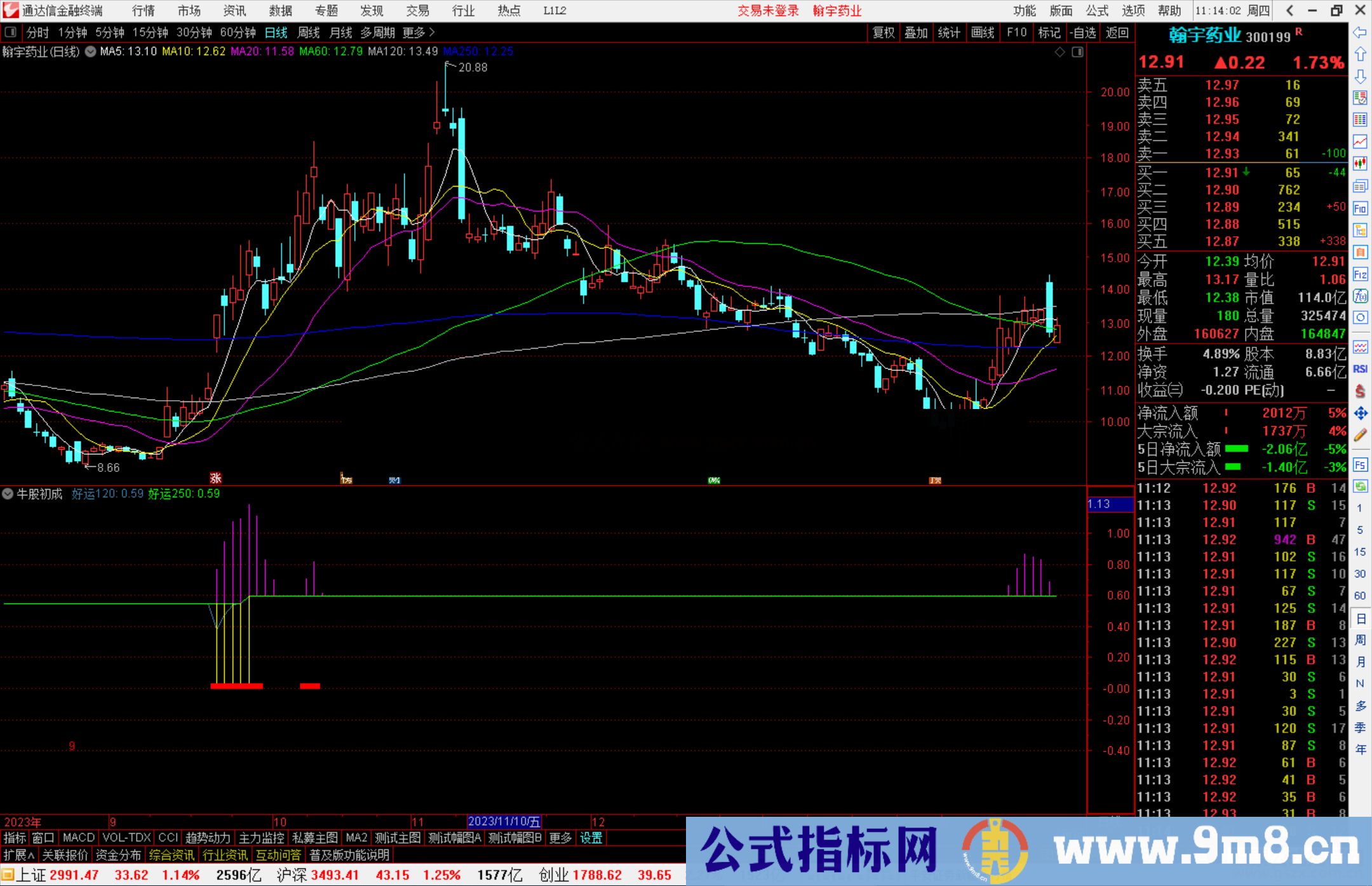 通达信牛股初成指标公式源码附图