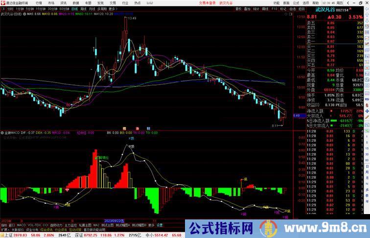 通达信金牌MACD副图提示顶底源码