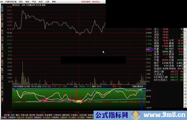 通达信小树分时副图 日线也可以