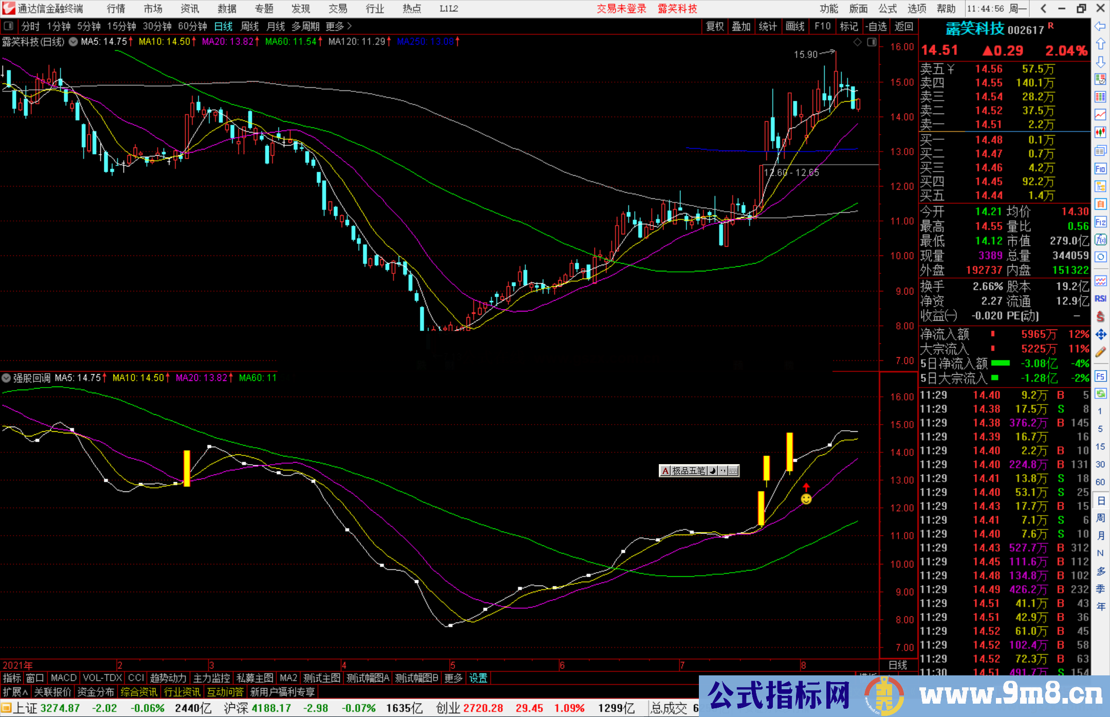 通达信强股回调主图指标公式源码