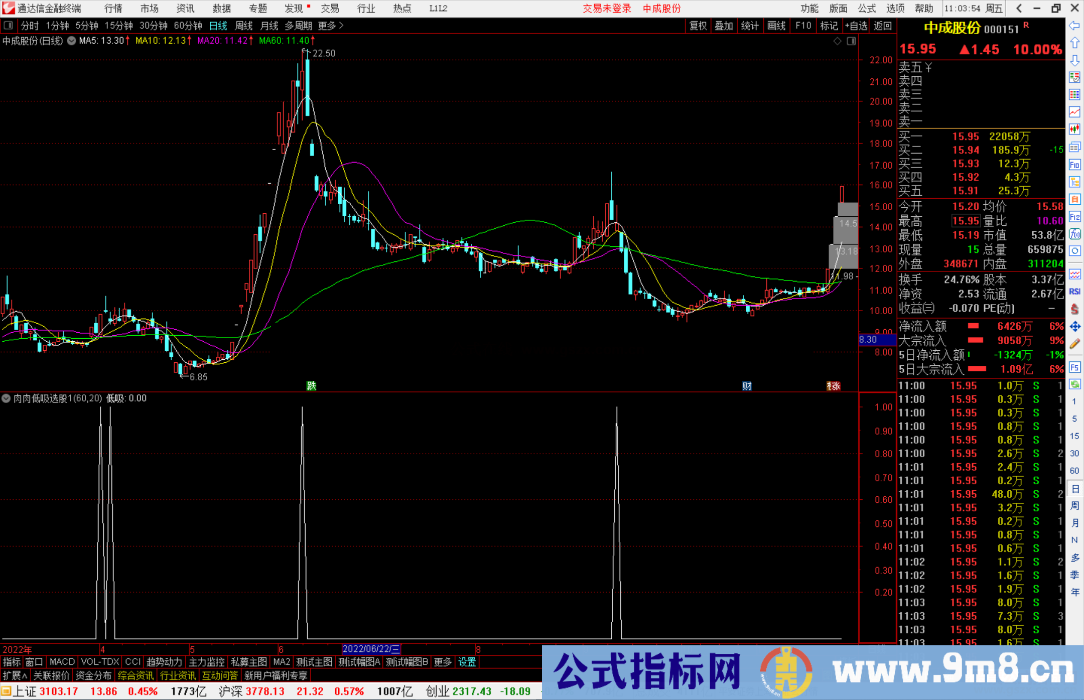 通达信肉肉低吸选股指标公式源码副图