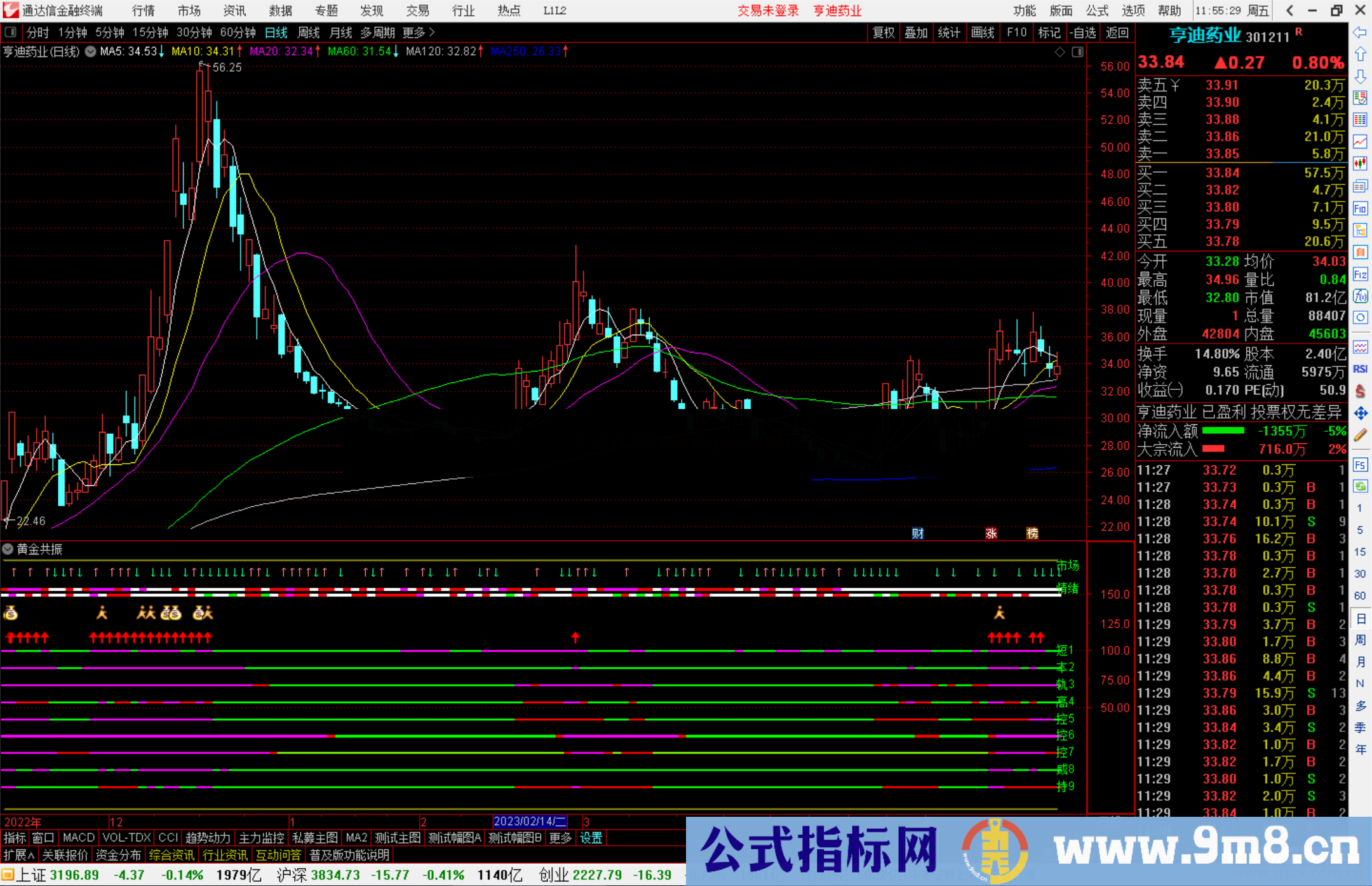 通达信黄金共振指标公式源码副图