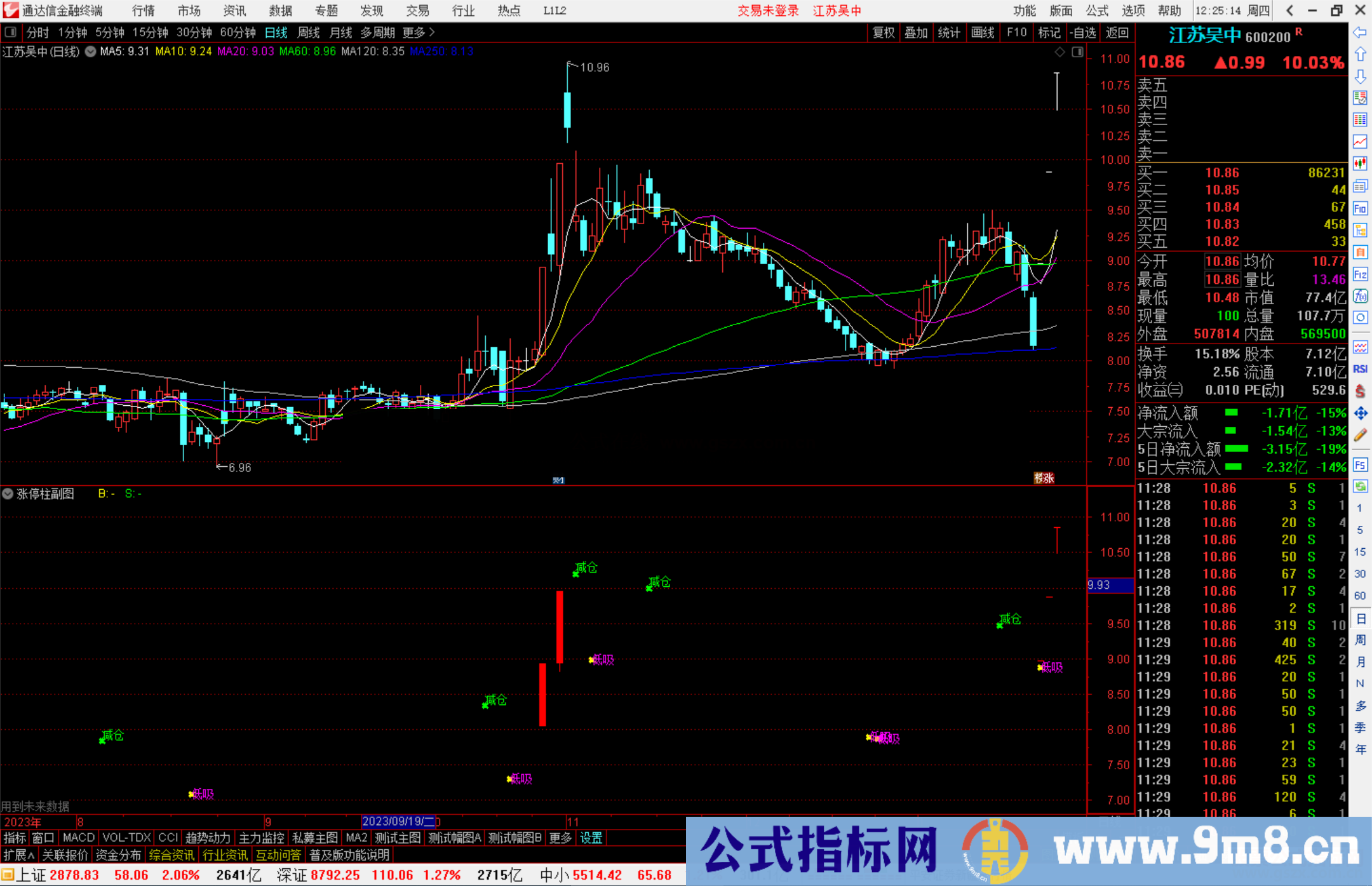 通达信涨停柱副图指标，红涨停,兰跌停源码