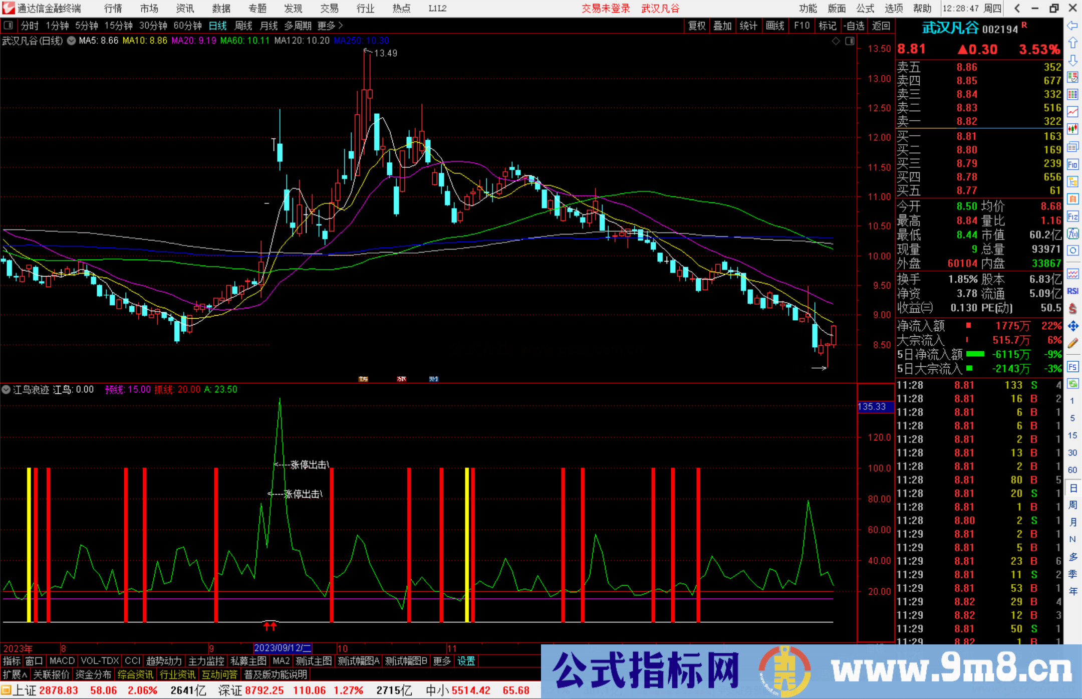 通达信江鸟浪迹副图源码