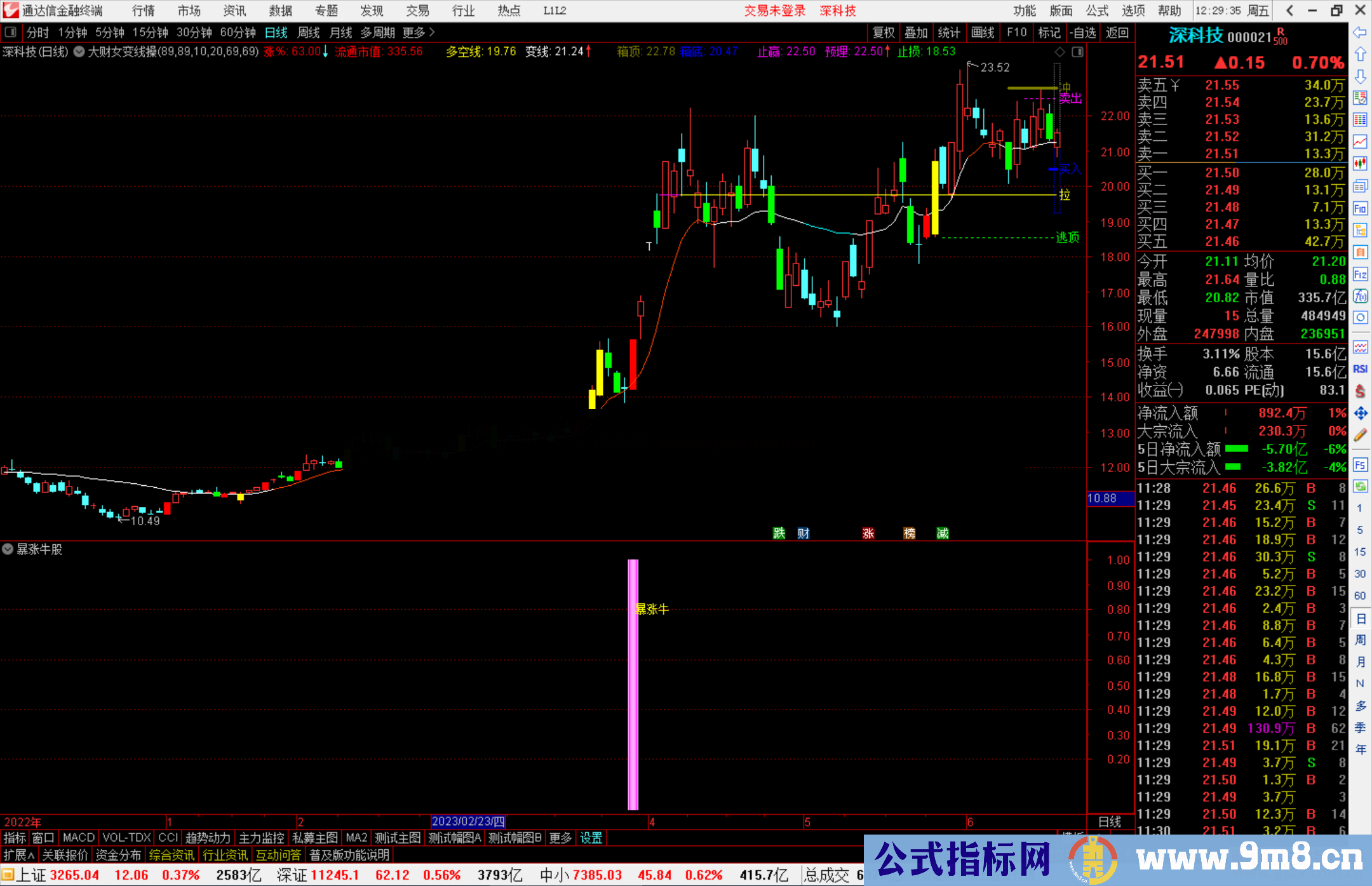 通达信暴涨牛股指标公式源码副图