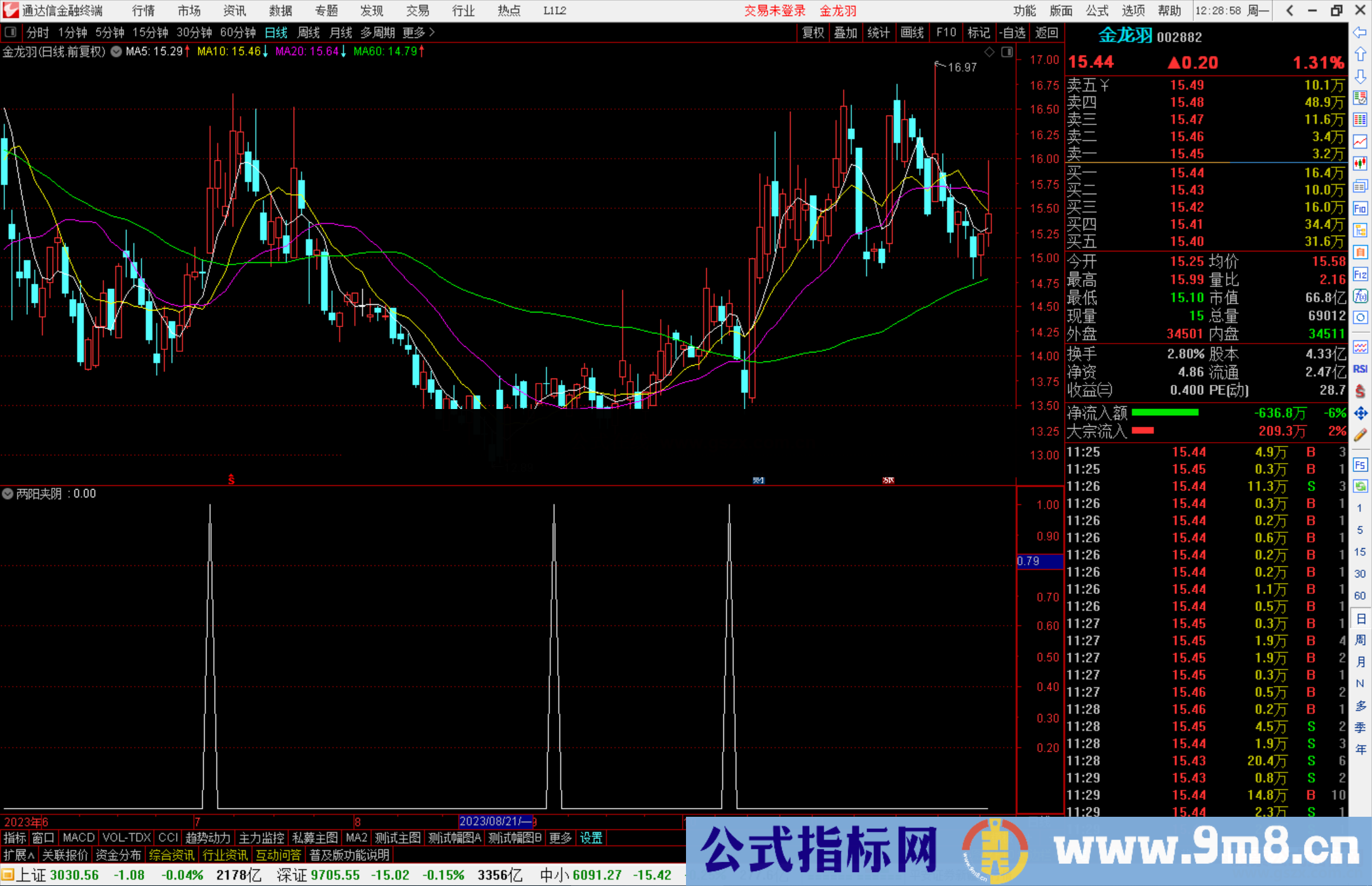 通达信两阳夹阴指标公式源码副图