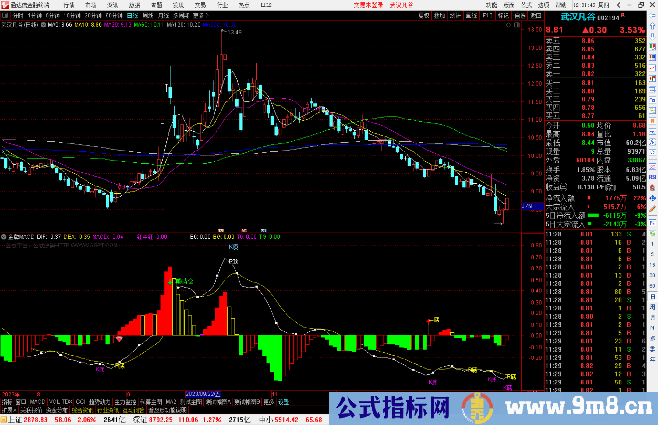 通达信金牌MACD副图提示顶底源码