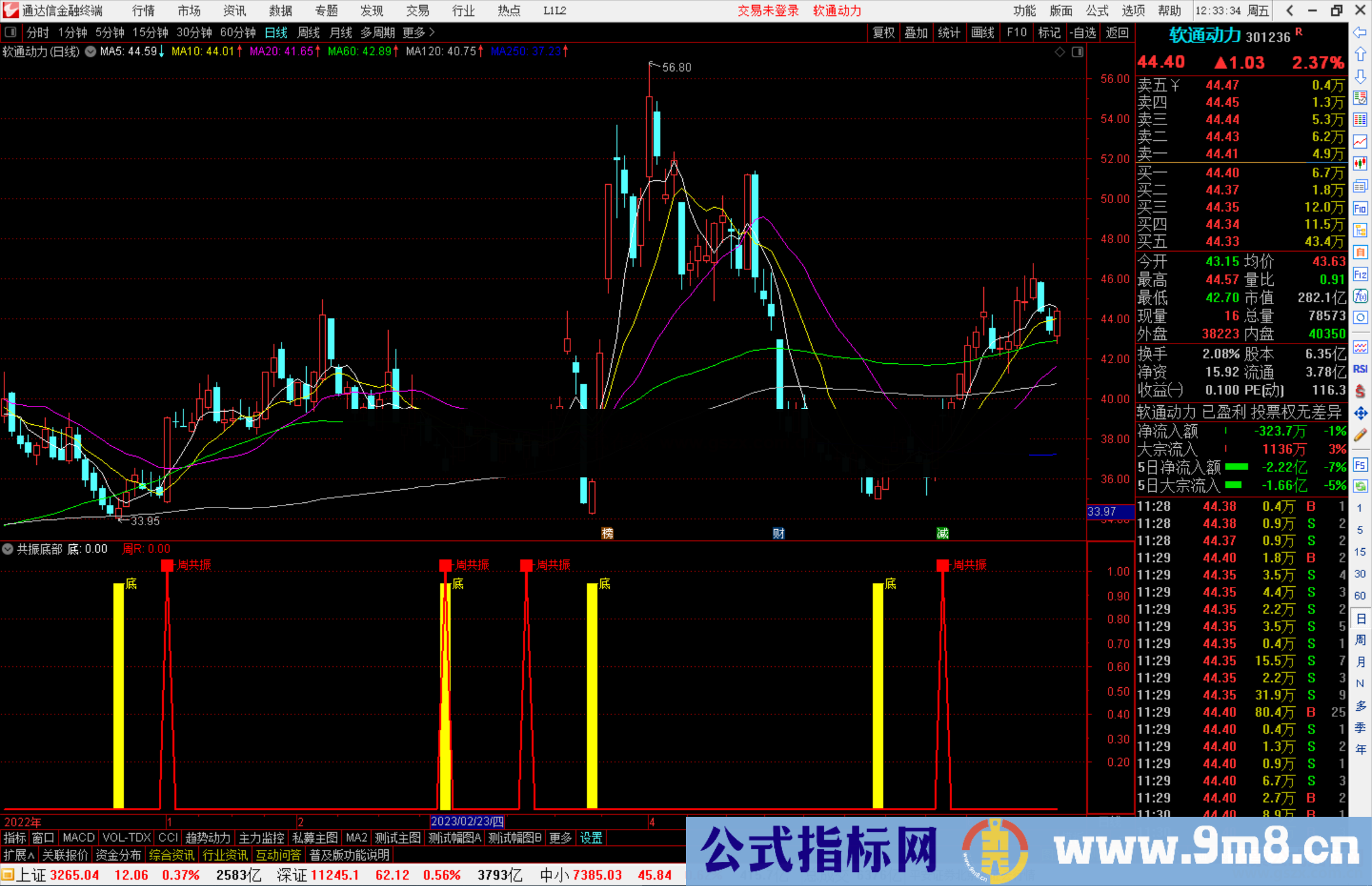 通达信共振底部指标公式源码副图