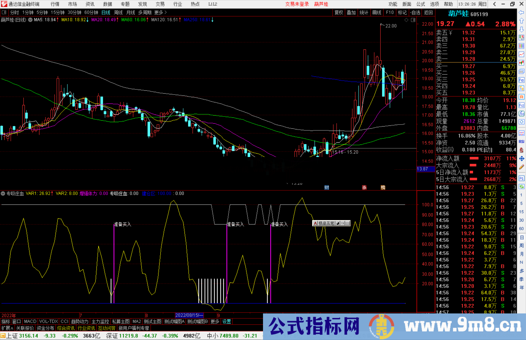 通达信专吸庄血源码副图